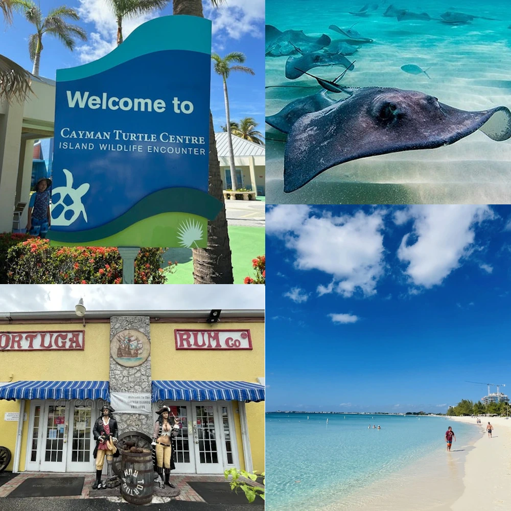 Island Tour and Stingray City